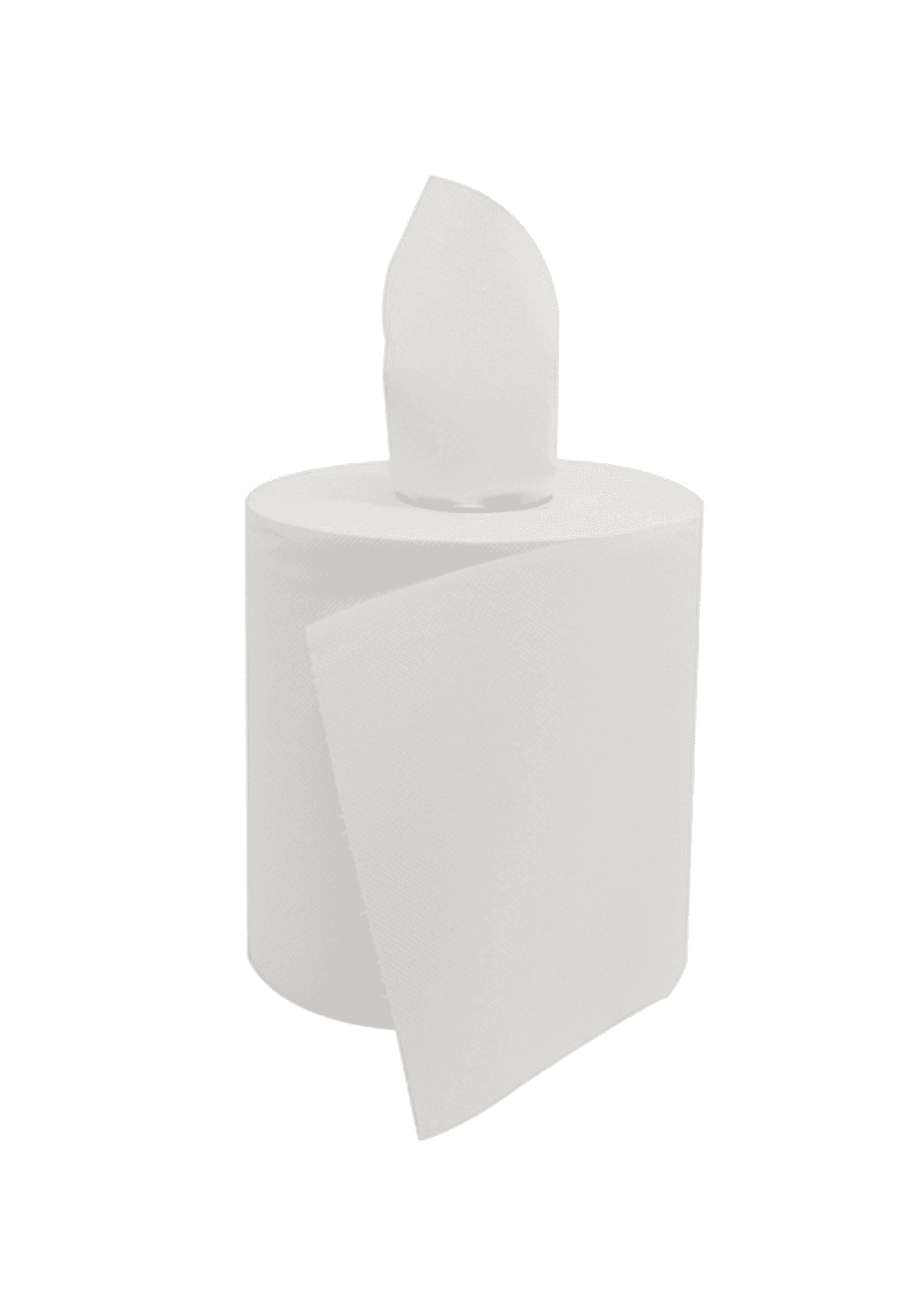 Essuie-mains 2 plis en bobine à dévidage central de 450 formats 19,4x23cm (système DC1)