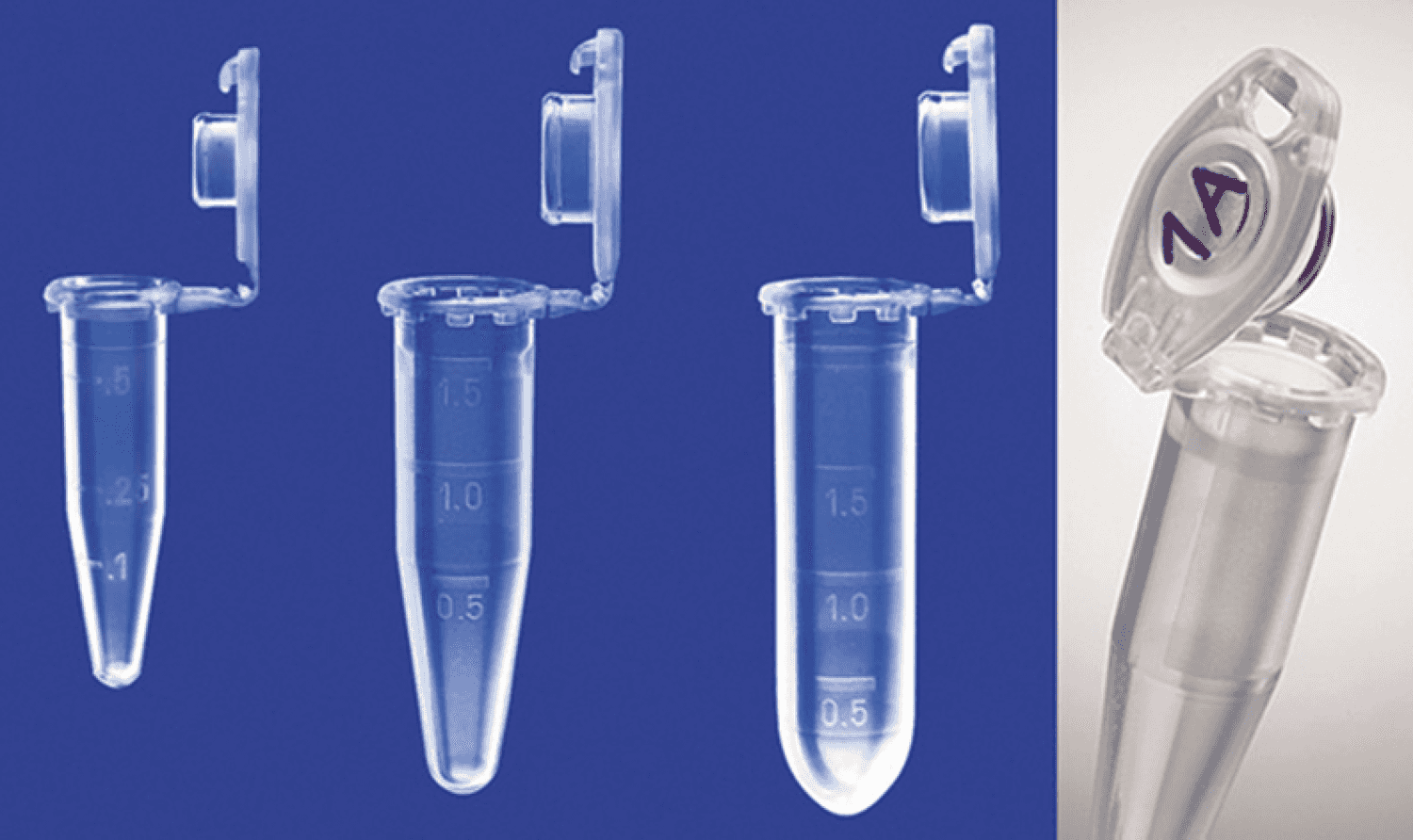 Microtube Eppendorf Safe-Lock