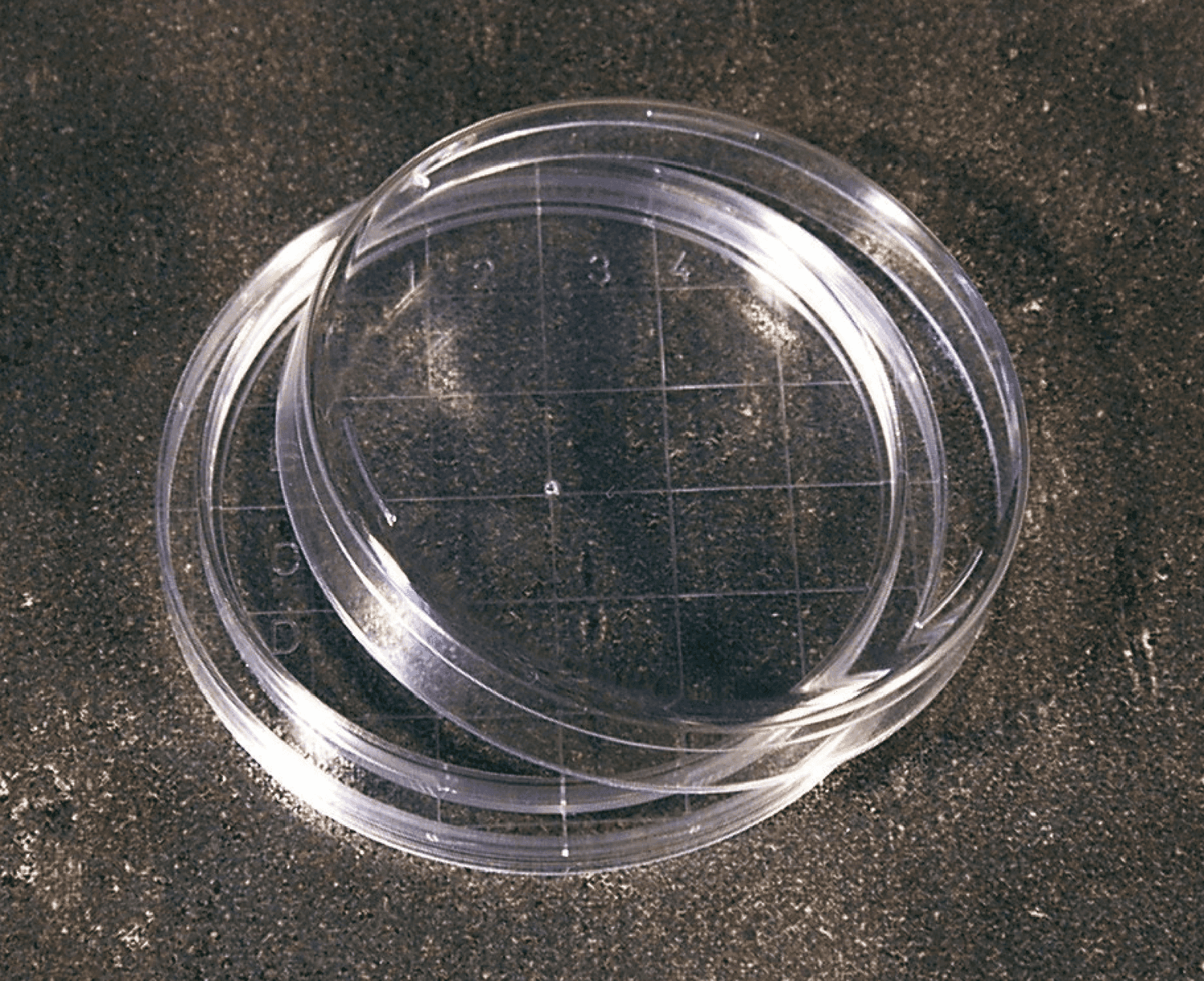 Boite de Pétri contact pour hygiène diamètre 60mm stérile