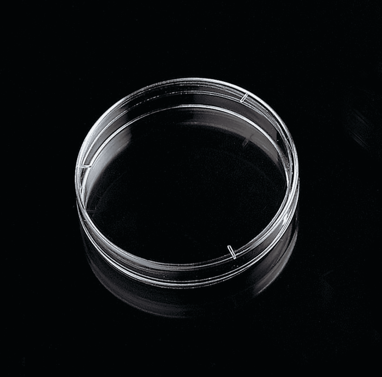 Boite de Pétri diamètre 90mm
