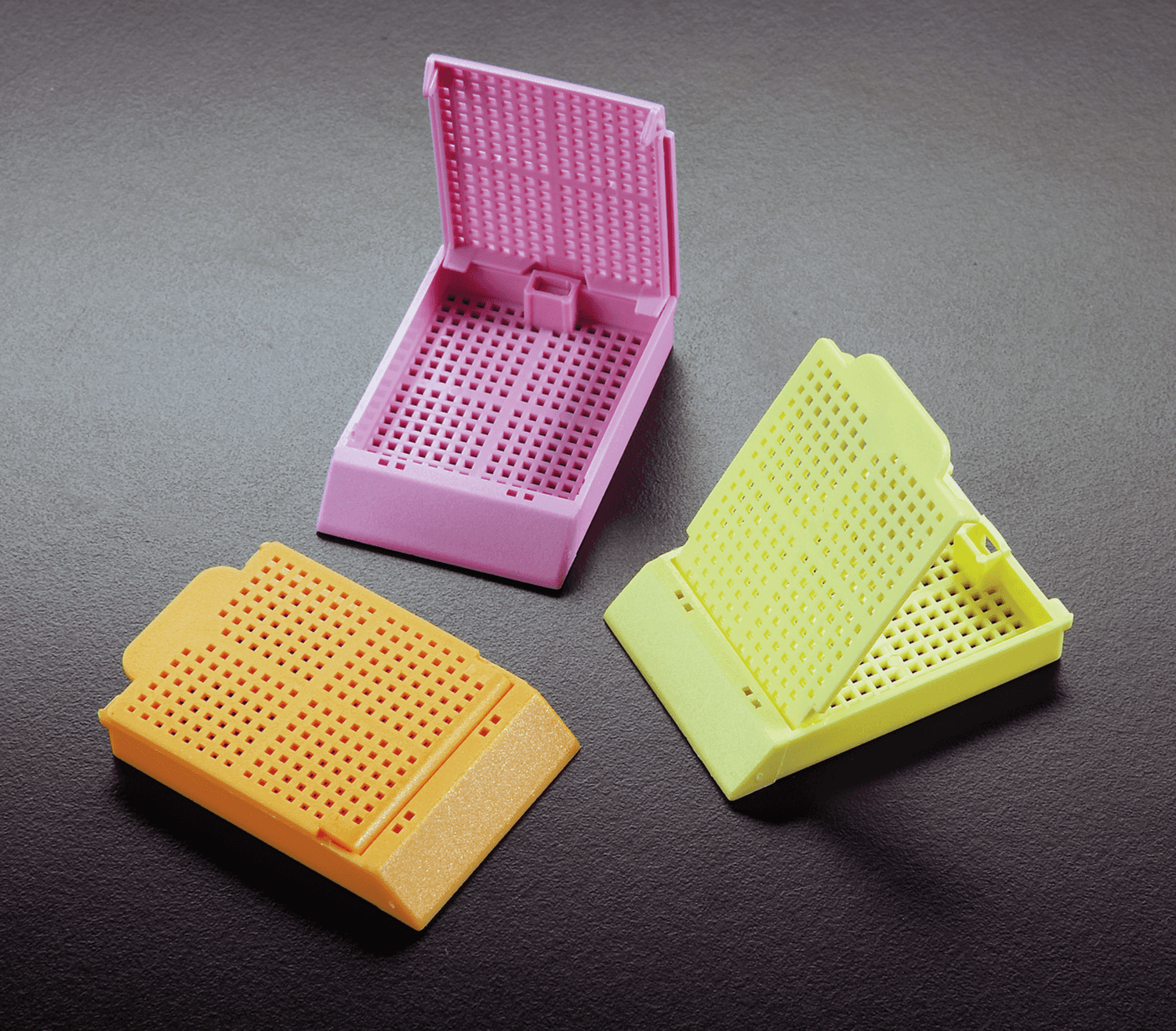 Cassette Histosette® II pour biopsie