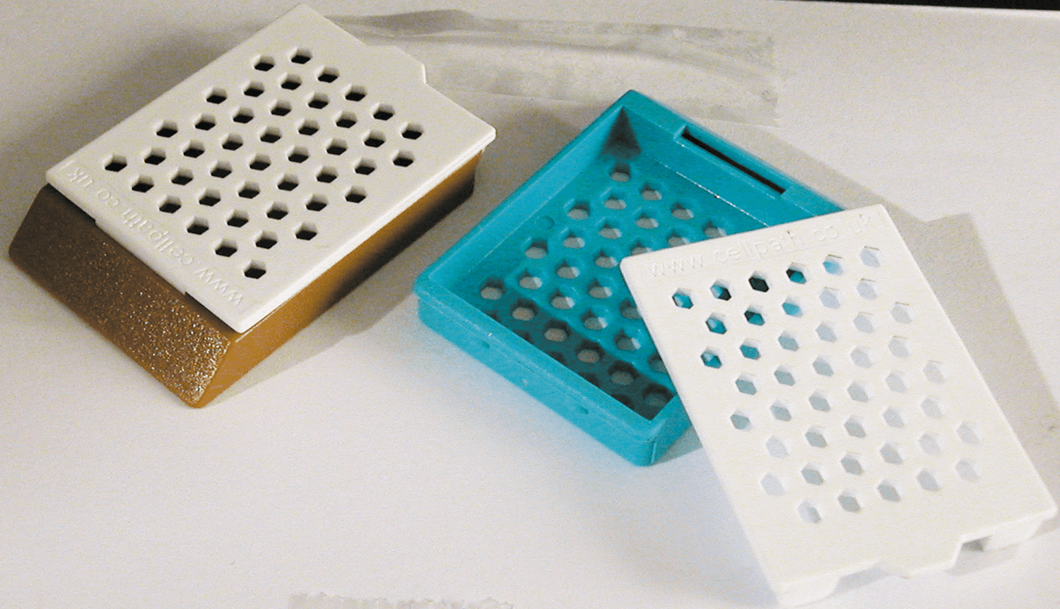 Couvercle pour cassette Hex™ blanc