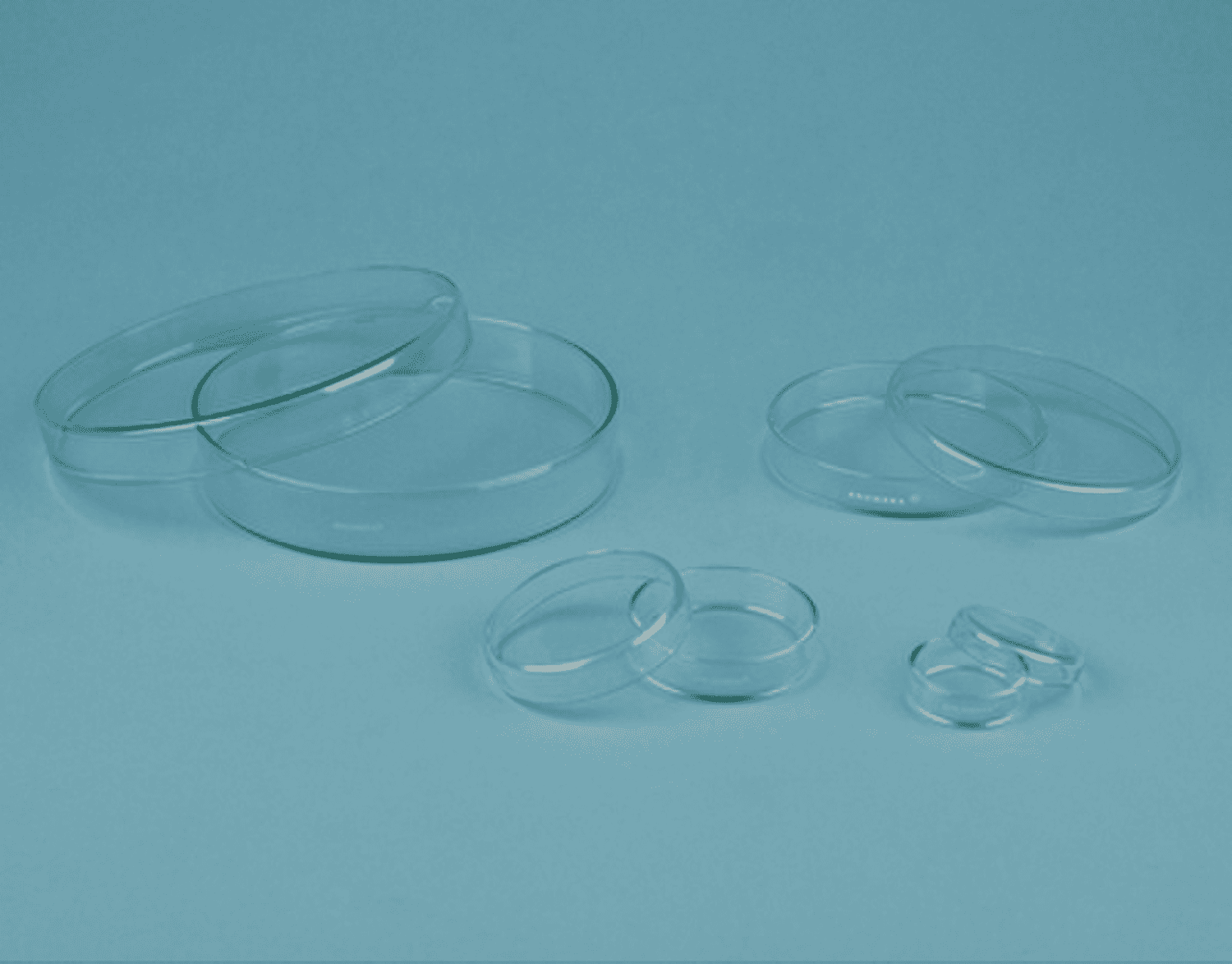 Boite de Pétri en verre sodocalcique Anumbra®
