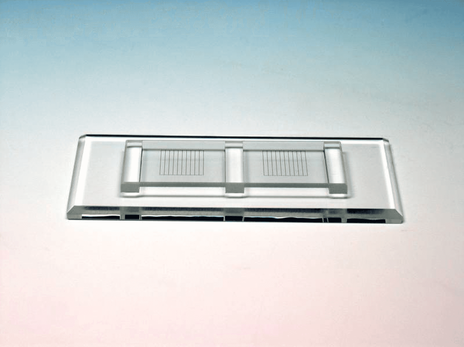 Cellule de Mac Master double