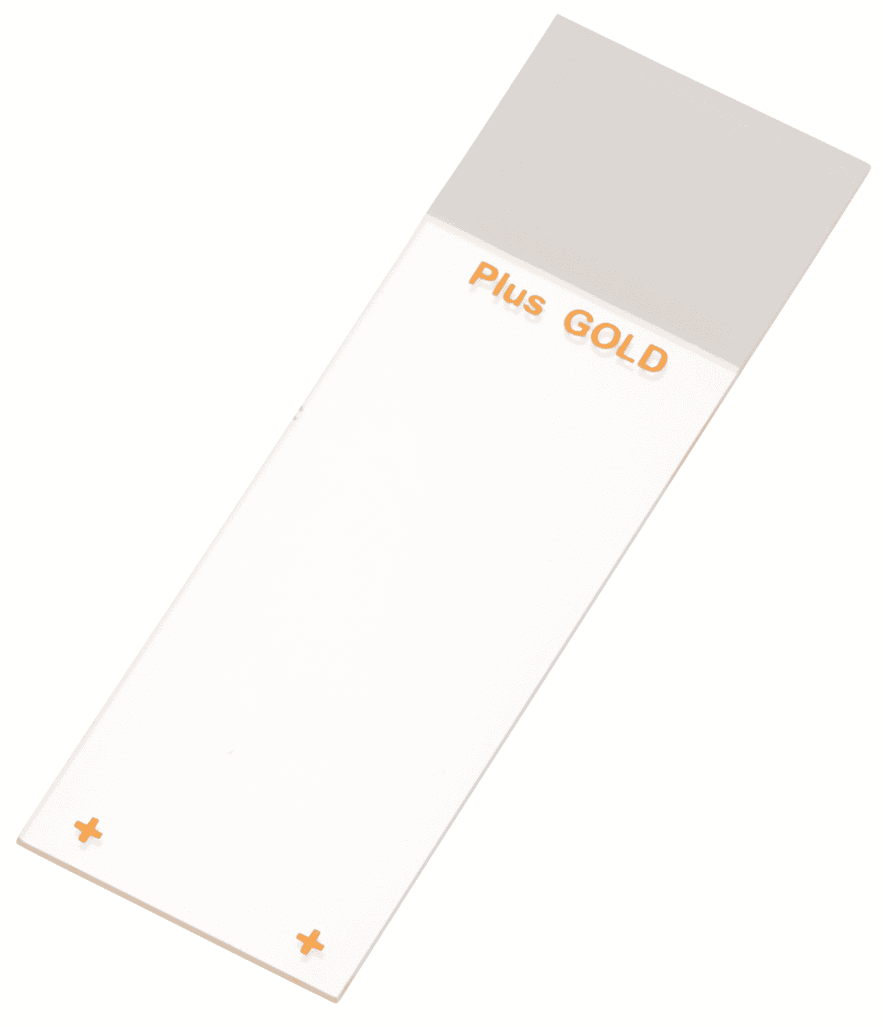 Lame adhésive Superfrost® Plus Gold
