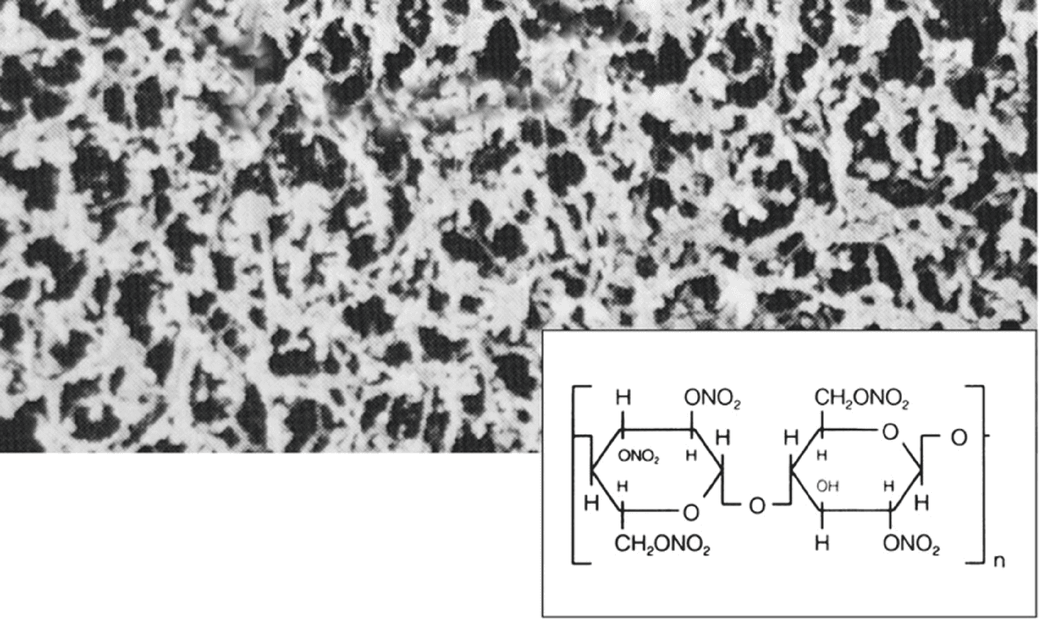Filtre membrane en nitrate de cellulose type 113 stérile
