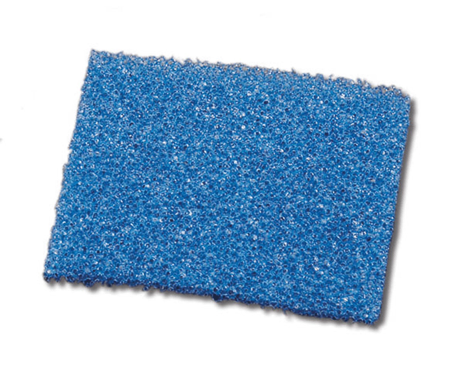 Tissu mousse bleu aéré pour cassette à biopsie