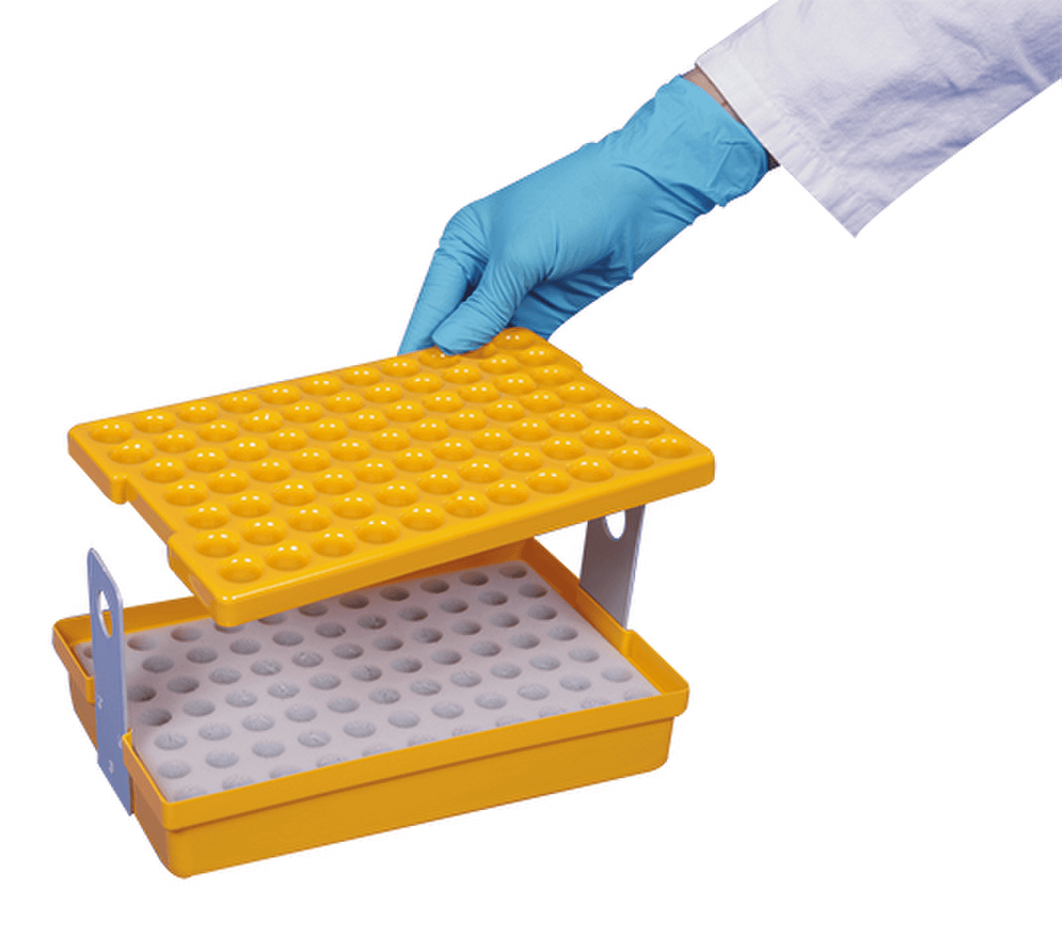 Biomousse absorbante pour portoir thermoformé GM 77 tubes 5-7ml