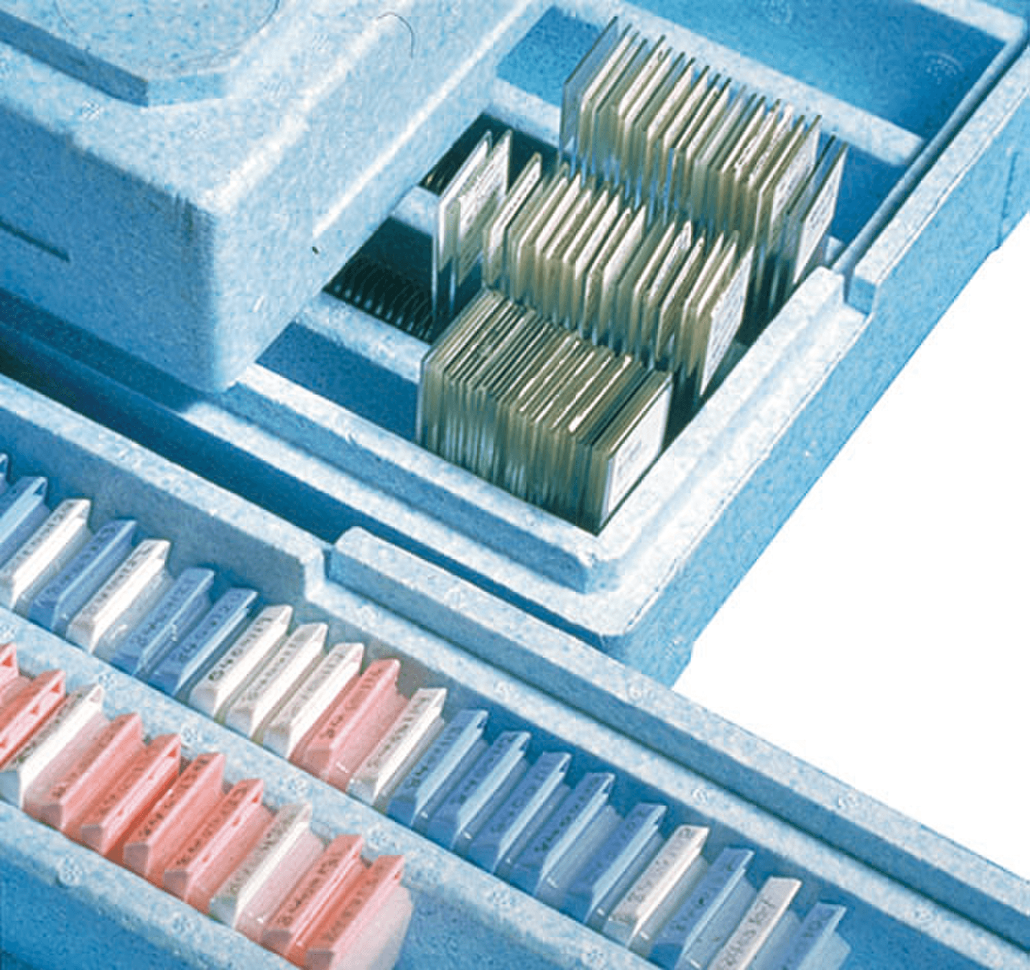 Boîte de stockage BluBox™ en plastique pour 460 blocs ou 1500 lames