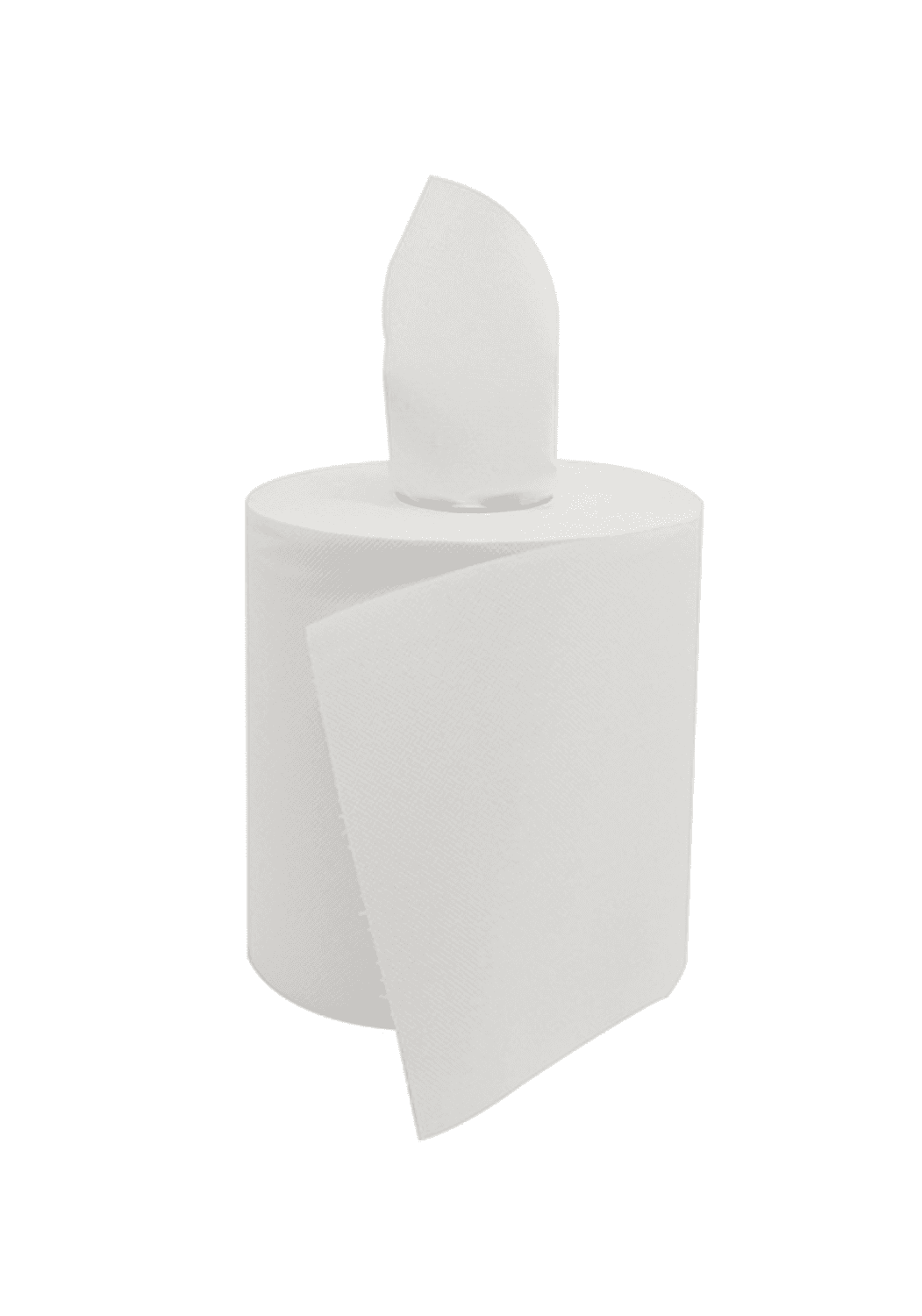 Essuie-mains 2 plis en bobine à dévidage central de 450 formats 19,4x23cm (système DC1)