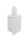 Essuie-mains 2 plis en bobine à dévidage central de 450 formats 19,4x23cm (système DC1)