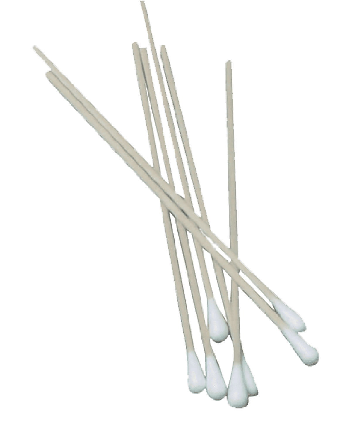 Ecouvillon tige bois bouton coton hydrophyle non stérile en vrac