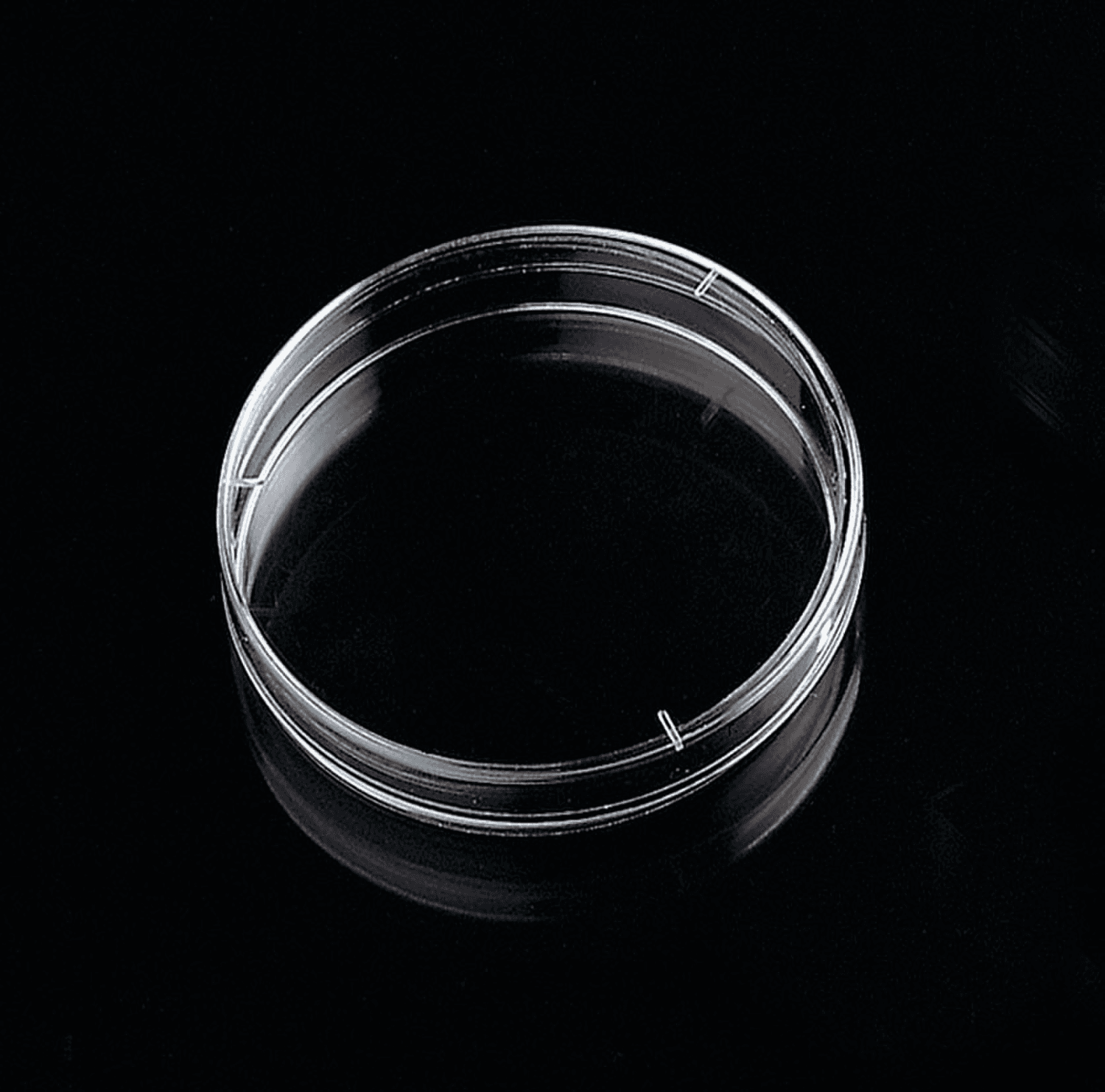 Boite de Pétri diamètre 90mm