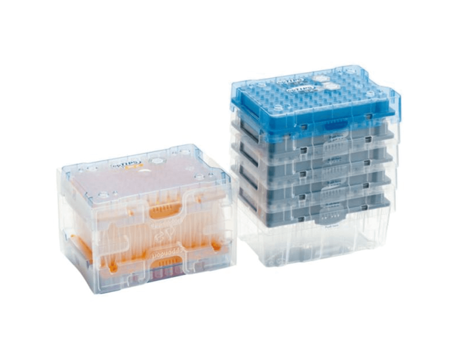Cône en recharge Eppendorf PCR clean