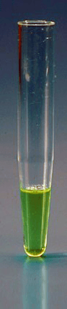 Tube 10ml en polystyrène fond conique 16x105mm