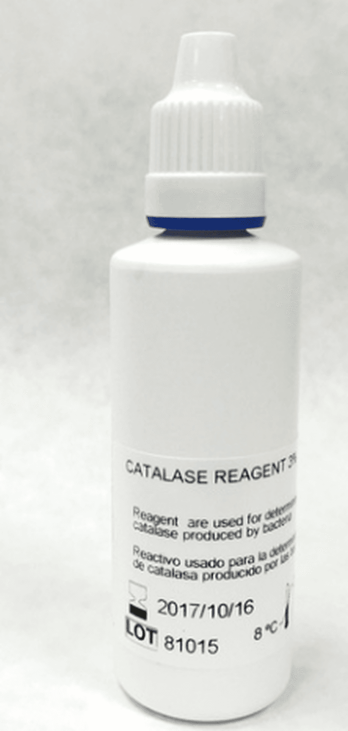 Réactif pour la détection d'activité de catalases, flacon de 30ml