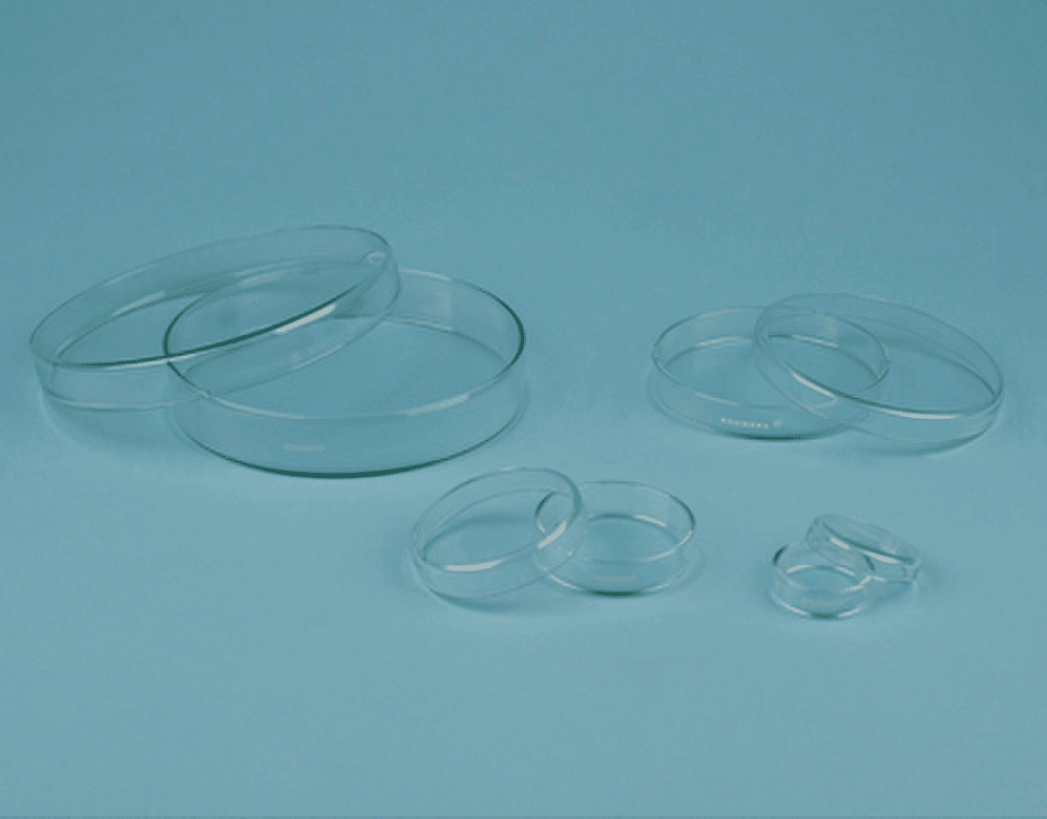 Boite de Pétri en verre sodocalcique Anumbra®