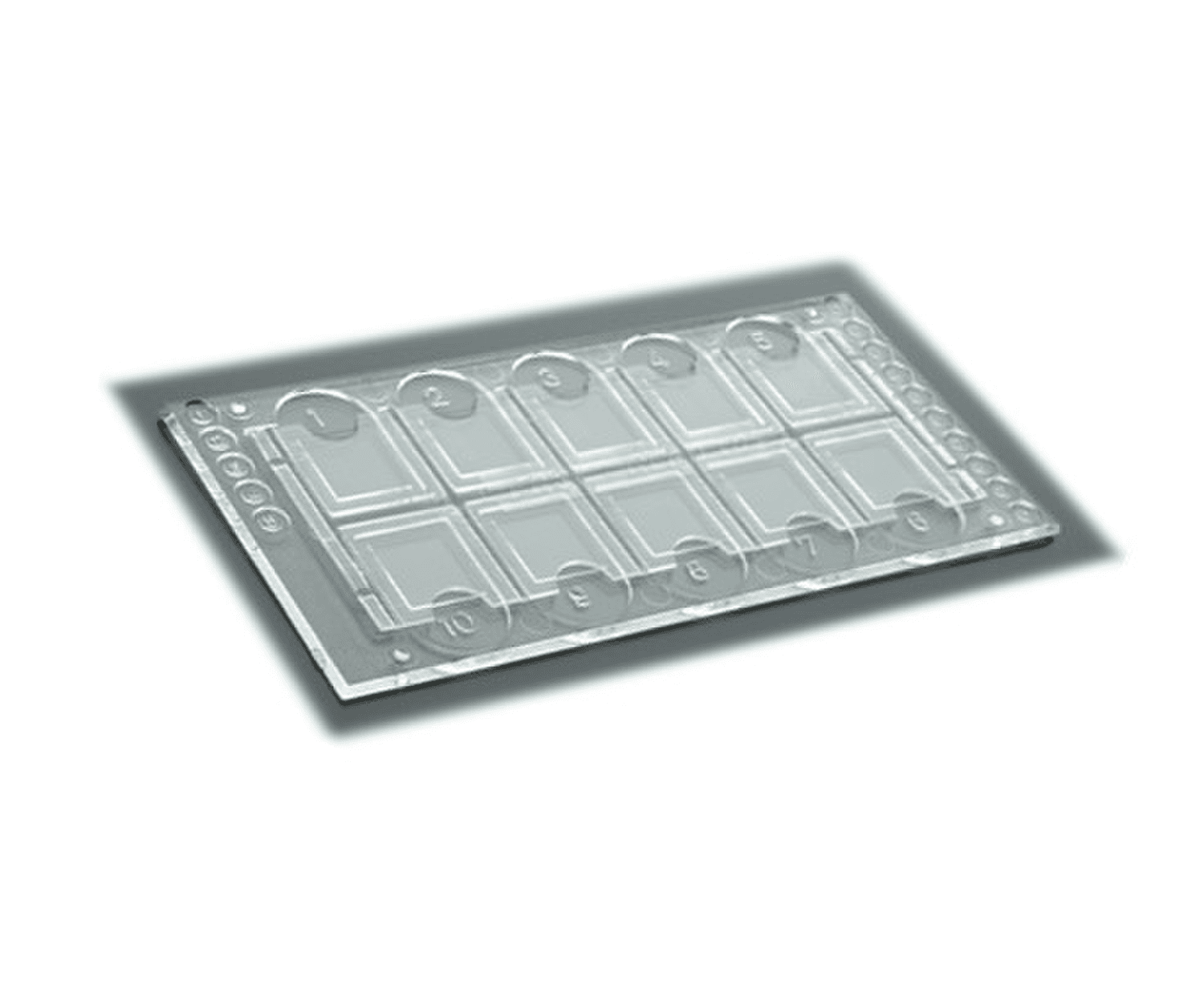 Cellule à numération à usage unique Fast-Read® 10 puits