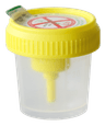 Flacon 30ml en polypropylène pour ECBU avec prise pour tube sous vide stérile