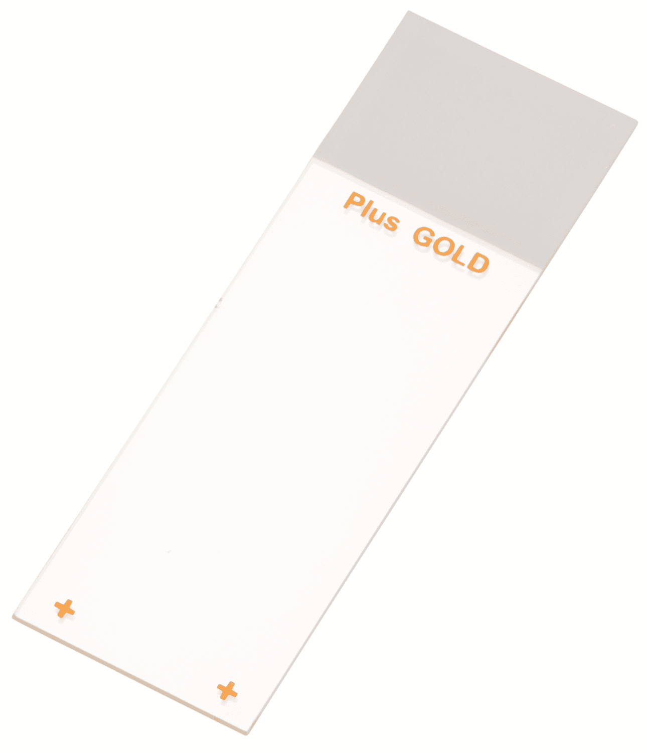 Lame adhésive Superfrost® Plus Gold