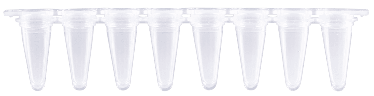 Barrette de 8 tubes Ahn avec barrettes de 8 capes plates