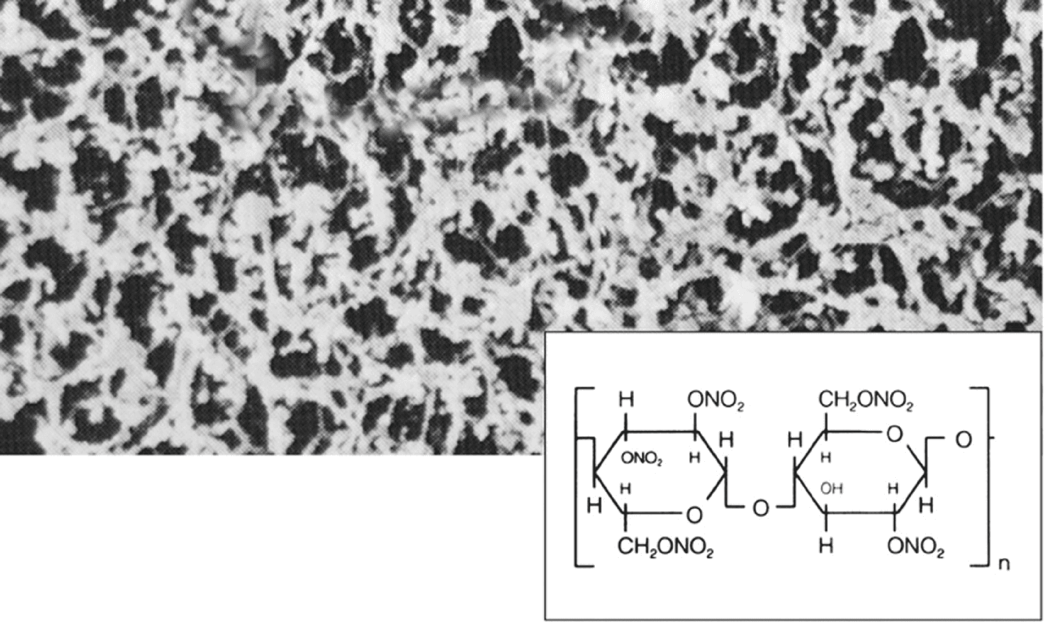 Filtre membrane en nitrate de cellulose type 114 non stérile