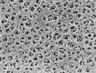 Filtre membrane en acétate de cellulose type 111 stérile