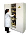 Armoire pour produit toxique, nocif ou inflammable Trionyx série 3