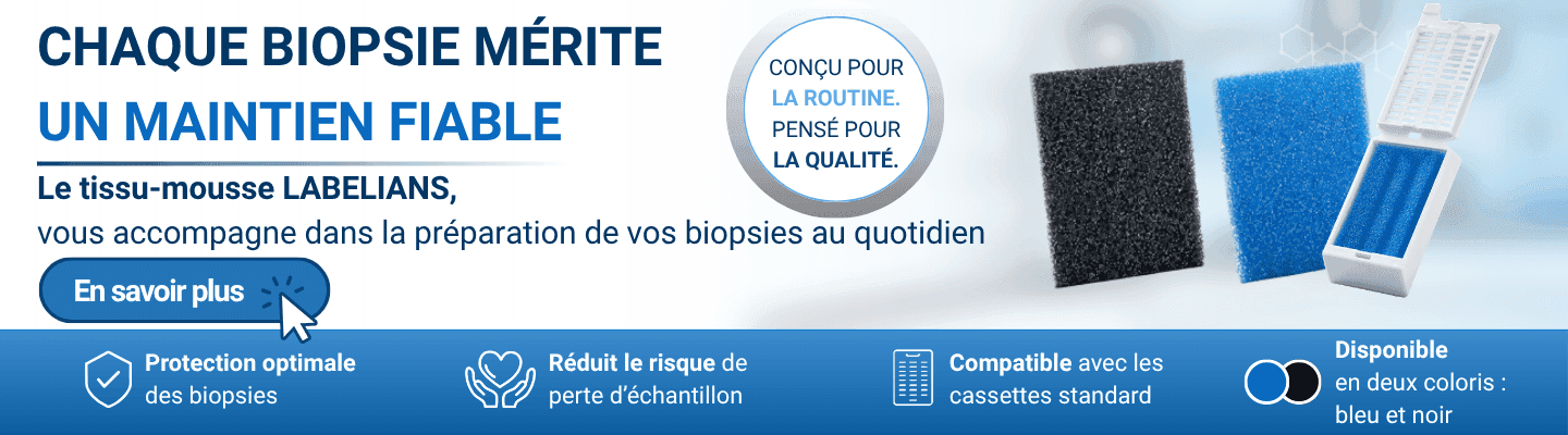 Tissu mousse Labelians pour cassette à biopsie