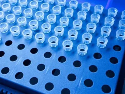 À la recherche de solutions économiques pour le laboratoire !