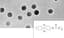 Filtre membrane en polycarbonate type 230