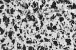 Filtre membrane ester mixte de cellulose (MCE) d. 47mm blanche avec quadrillage 0,45µm, stérile
