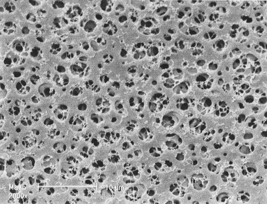 Membrane filtrante en acétate de cellulose à bords hydrophobe de 3mm blanche diamètre 47mm seuil de rétention 0,45µm en emballage individuel stérile