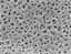 Membrane filtrante en acétate de cellulose à bords hydrophobe de 3mm blanche diamètre 47mm seuil de rétention 0,45µm en emballage individuel stérile