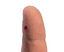 Lancette Vitrex® Sterilance Lite III