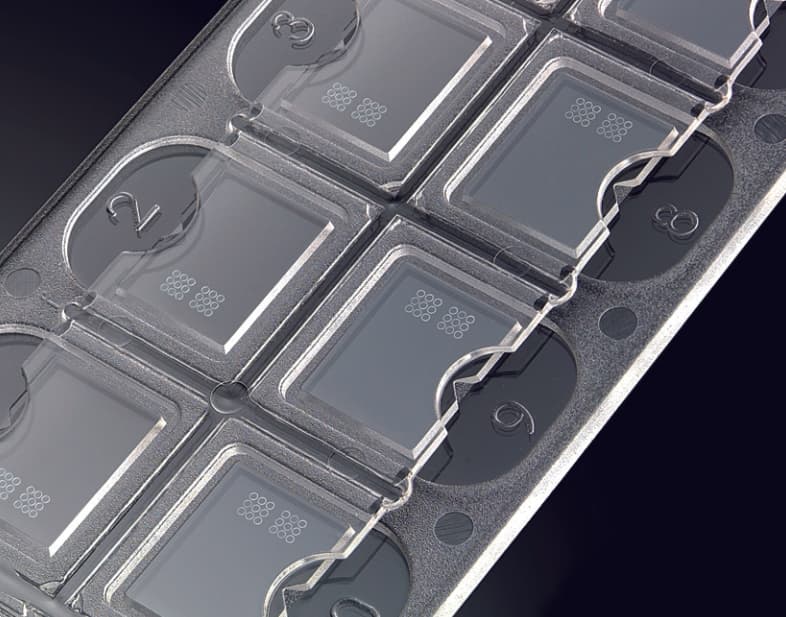 Cellule à numération à usage unique Vetriplast 10 puits