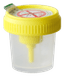 Flacon 30ml en polypropylène pour ECBU avec prise pour tube sous vide stérile