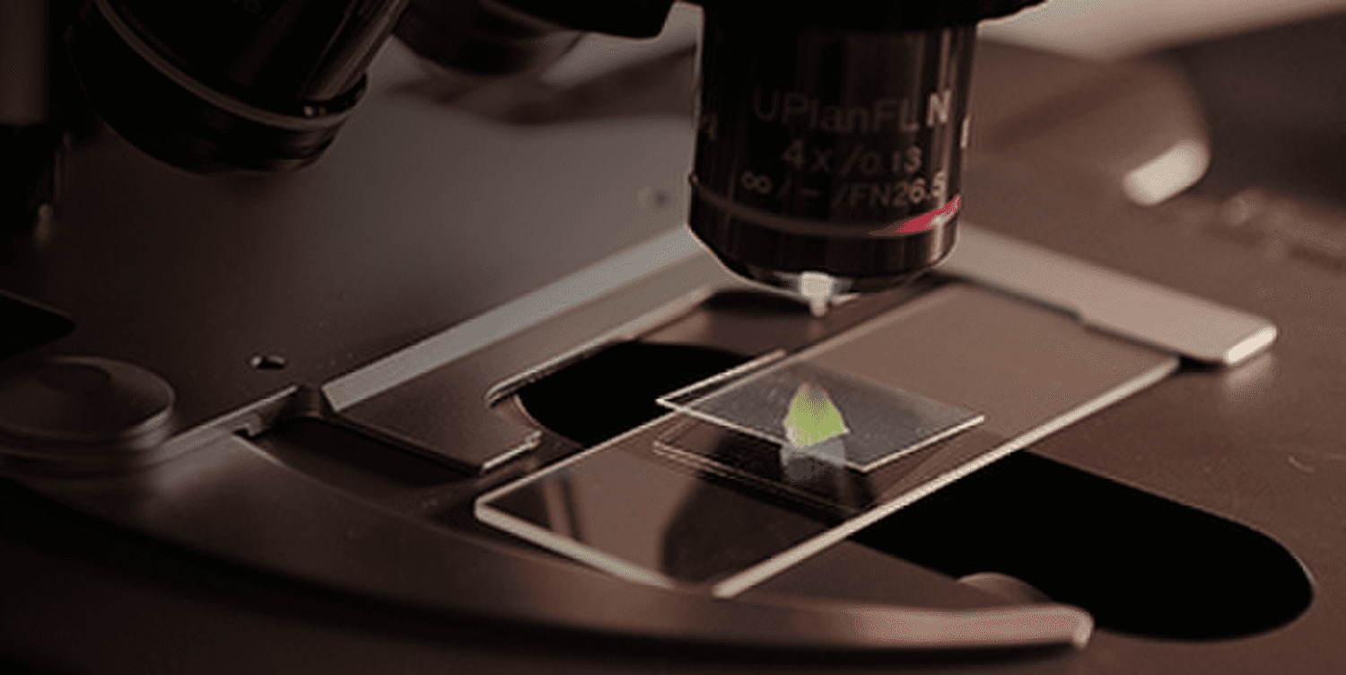 Microscopie