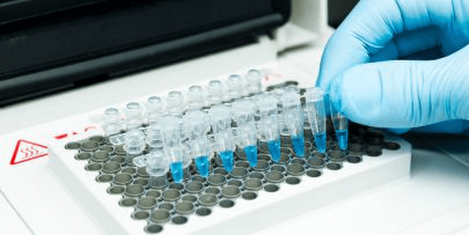 Biologie moléculaire - PCR