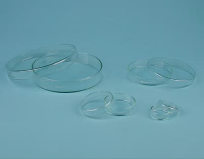 Boite de Pétri en verre sodocalcique Anumbra®
