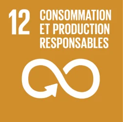 Consommation et production responsables